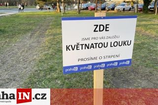 prahain.cz/zivot-ve-meste/obyvatele-prahy-12-vydesily-cerstve-posekane-kvetnate-louky-18653.html?utm_source=www.seznam.cz&utm_medium=seznam_distribuce&utm_campaign=lide